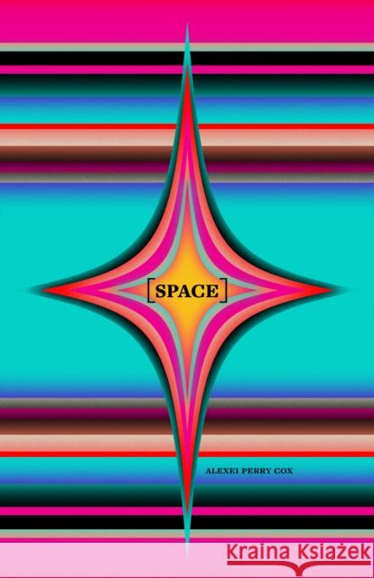 Space: Lessons in Taking and Making  9781552455241 Coach House Books - książka