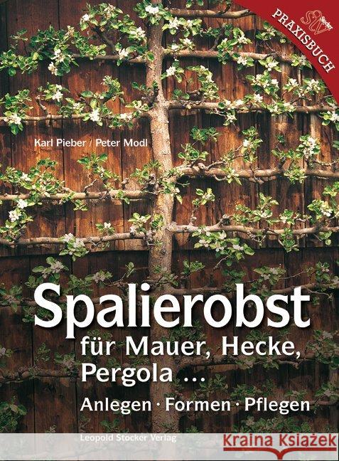 Spalierobst : für Mauer, Hecke, Pergola .... Anlegen, Formen, Pflegen Pieber, Karl; Modl, Peter 9783702013080 Stocker - książka