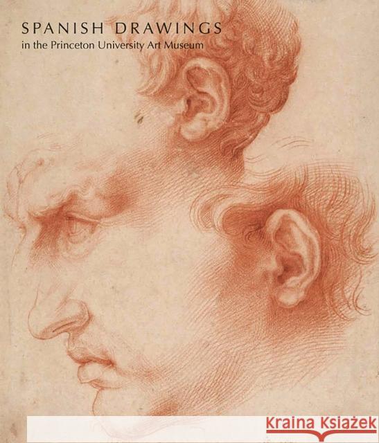 Spanish Drawings in the Princeton University Art Museum Lisa A Banner 9780300149319  - książka