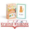 Spanish for Everyone Junior First Words Flash Cards DK 9780241601433 Dorling Kindersley Ltd
