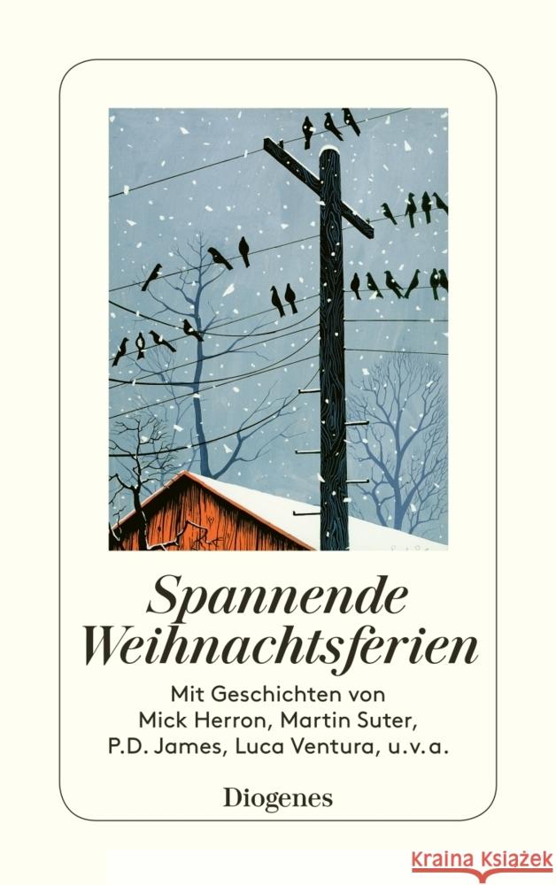 Spannende Weihnachtsferien  9783257245639 Diogenes - książka