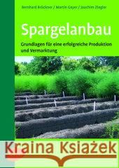 Spargelanbau : Grundlagen für eine erfolgreiche Produktion und Vermarktung Brückner, Bernhard Geyer, Martin Ziegler, Joachim 9783800146277 Ulmer (Eugen) - książka