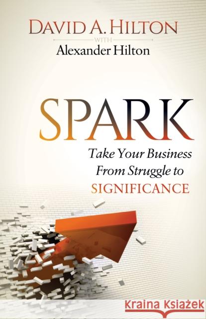 Spark: Take Your Business from Struggle to Significance David A. Hilton Alexander Hilton 9781630479497 Morgan James Publishing - książka