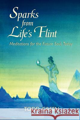 Sparks from Life's Flint--Meditations for the Future Soul, Today Todd Green 9780977785407 Greenlight Productions - książka