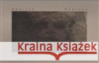 Spatřené hlavy / Heads beheld Daniela Hodrová 9788086702339 Malvern - książka