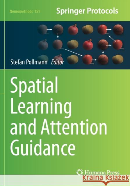 Spatial Learning and Attention Guidance Stefan Pollmann 9781493999507 Humana - książka