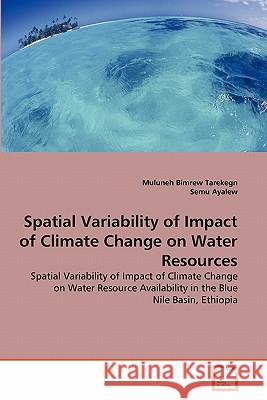 Spatial Variability of Impact of Climate Change on Water Resources Muluneh Bimre Semu Ayalew 9783639281200 VDM Verlag - książka