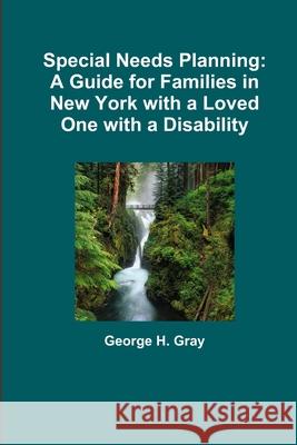 Special Needs Planning: A Guide for Families in New York with a Loved One with a Disability George Gray 9781312481770 Lulu.com - książka