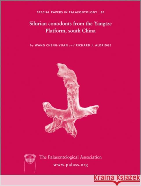 Special Papers in Palaeontology, Silurian Conodonts from the Yangtze Platform, South China Wang, Cheng-Yuan 9781444338126 Wiley-Blackwell (an imprint of John Wiley & S - książka