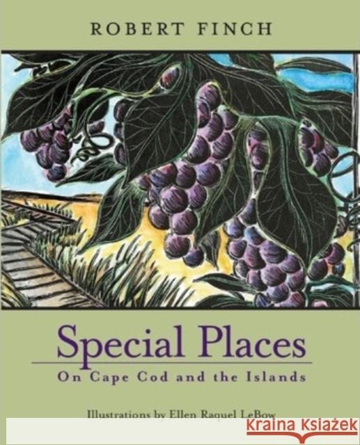 Special Places on Cape Cod and the Islands Robert Finch, Ellen Raquel LeBow 9781889833514 Commonwealth Editions - książka