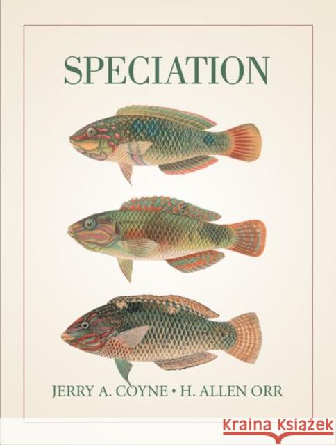 Speciation Coyne, Jerry A.; Orr, H. A. 9780878930890 Sinauer Associates - książka