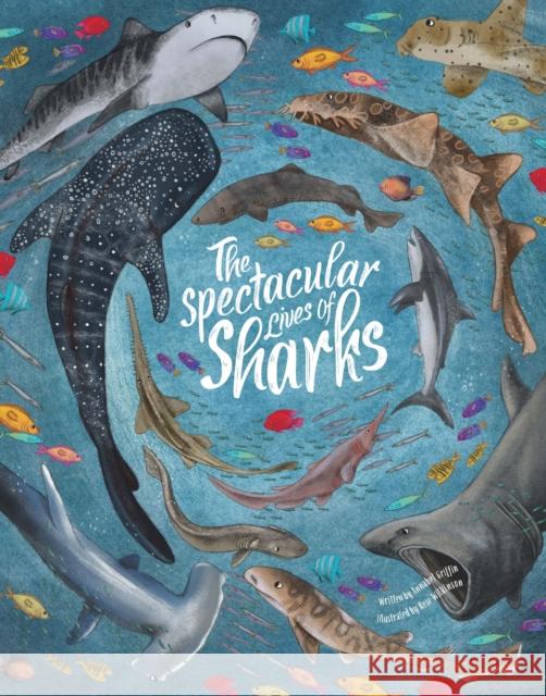 Spectacular Lives of Sharks Annabel Griffin 9781914087479 Hungry Tomato Ltd - książka