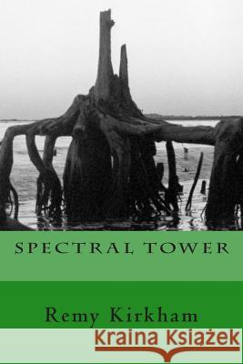Spectral Tower: The Wayfarer New Edition MR Remy James Kirkham 9781494283988 Createspace - książka