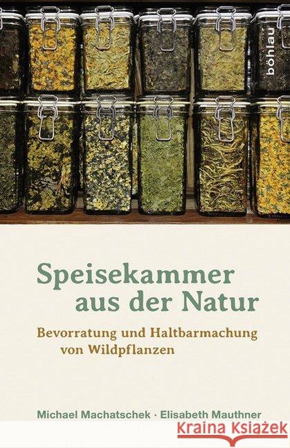 Speisekammer Aus Der Natur: Bevorratung Und Haltbarmachung Von Wildpflanzen Mauthner, Elisabeth 9783205796565 Böhlau Wien - książka