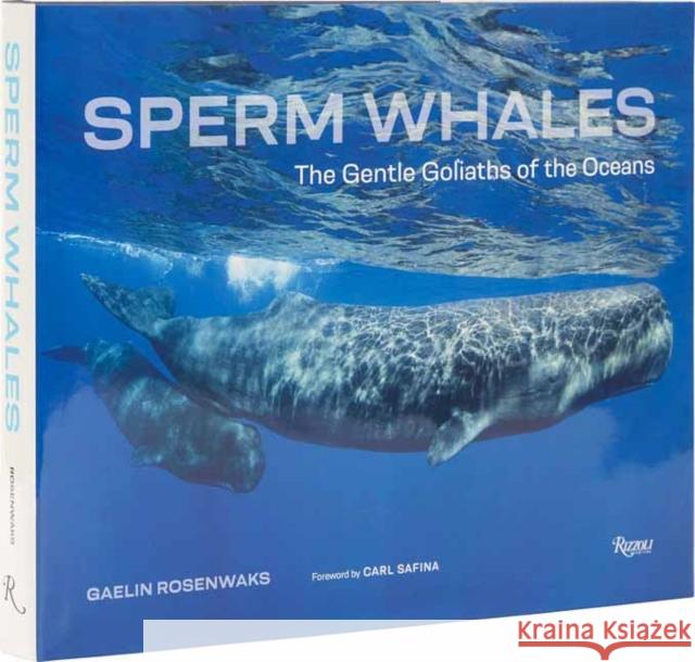 Sperm Whales: The Gentle Goliaths of the Ocean Gaelin Rosenwaks 9780789346520 Rizzoli International Publications - książka