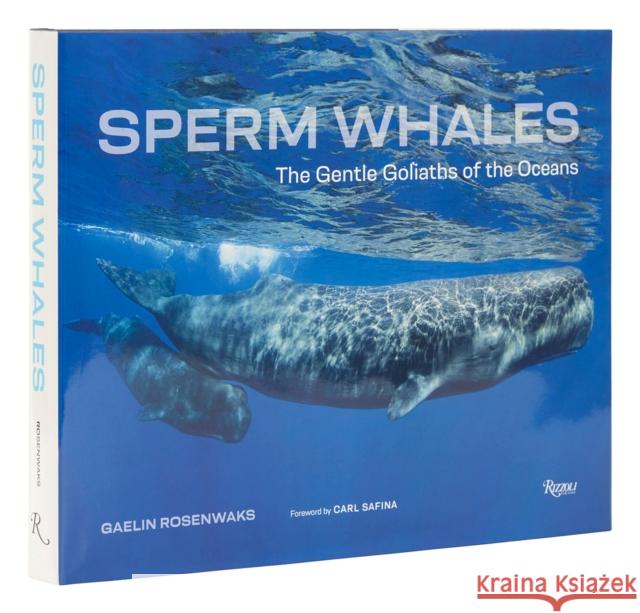 Sperm Whales: The Gentle Goliaths of the Ocean Gaelin Rosenwaks Carl Safina 9780847872329 Rizzoli International Publications - książka