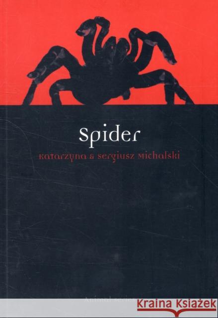 Spider Katarzyna Michalski Sergiusz Michalski 9781861897756 Reaktion Books - książka