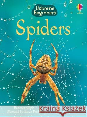 Spiders Rebecca Gilpin 9780746074794  - książka