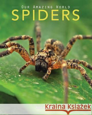 Spiders: Amazing Pictures & Fun Facts on Animals in Nature Kay D 9781519132253 Createspace Independent Publishing Platform - książka