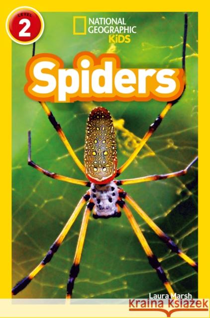 Spiders: Level 2 National Geographic Kids 9780008266653 HarperCollins Publishers - książka