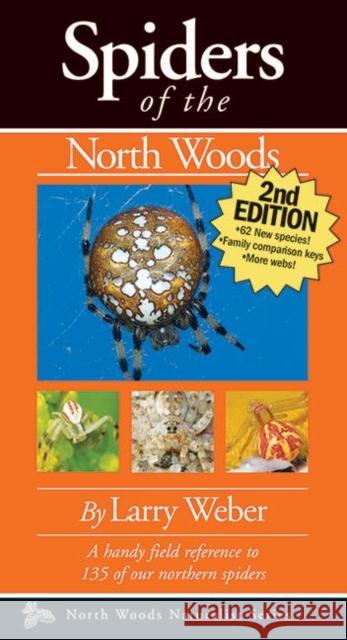 Spiders of the North Woods Larry Weber 9781936571062 Kollath-Stensaas Publishing - książka