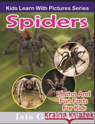 Spiders: Photos and Fun Facts for Kids Isis Gaillard 9781623277352 Learn with Facts - książka