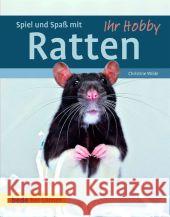Spiel und Spaß mit Ratten Wilde, Christine 9783800175338 Ulmer (Eugen) - książka