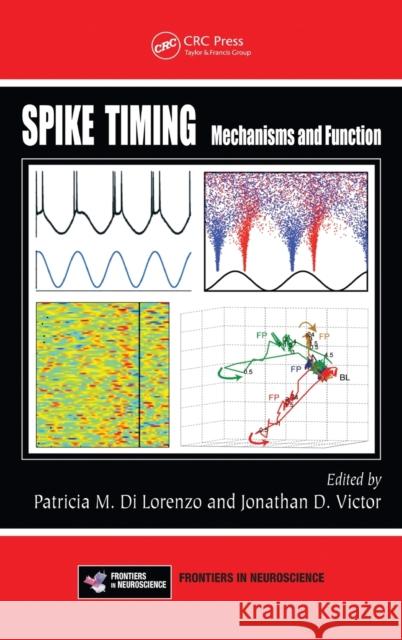 Spike Timing: Mechanisms and Function Dilorenzo, Patricia M. 9781439838150 CRC Press - książka