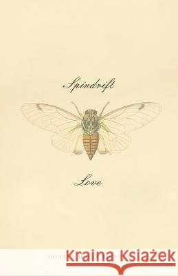 Spindrift Love Jocelyn Holst Bolster   9781639883844 Atmosphere Press - książka