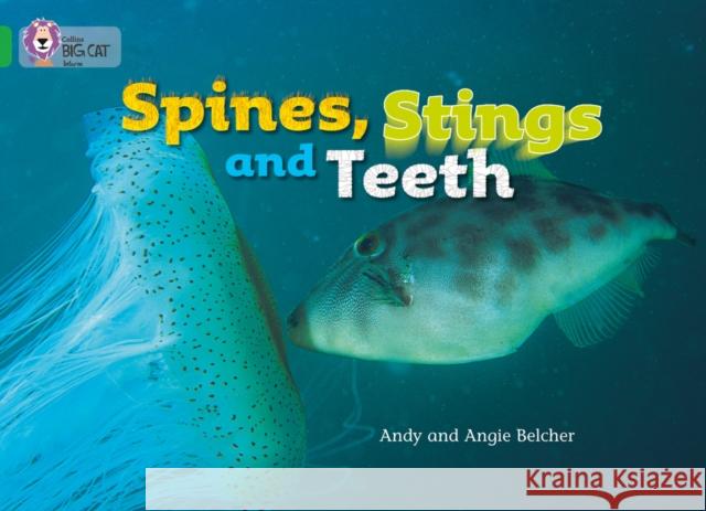 Spines, Stings and Teeth: Band 05/Green Andy Belcher 9780007185894 HarperCollins Publishers - książka