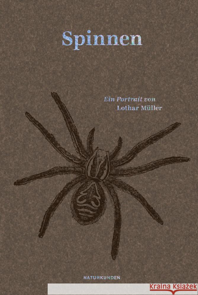 Spinnen Müller, Lothar 9783751840200 Matthes & Seitz Berlin - książka