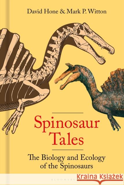Spinosaur Tales: The Biology and Ecology of the Spinosaurs Mark Witton 9781399412469 Bloomsbury Publishing PLC - książka
