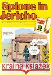 Spione in Jericho : Aus der Wüste in das verheißene Land    9783438043023 Deutsche Bibelgesellschaft - książka