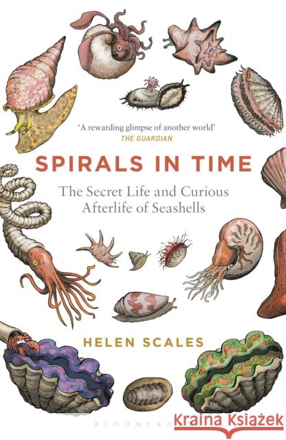 Spirals in Time: The Secret Life and Curious Afterlife of Seashells Helen Scales 9781472911384 Bloomsbury Publishing PLC - książka