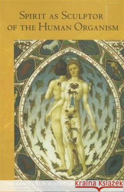 Spirit as Sculptor of the Human Organism Rudolf Steiner 9781855844087 Rudolf Steiner Press - książka