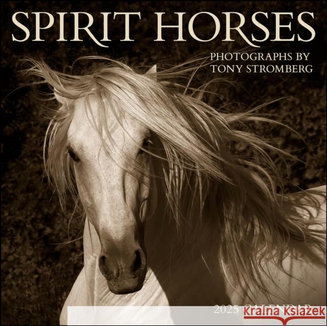 Spirit Horses 2025 Wall Calendar by Tony Stromberg Tony Stromberg 9781524891152 Amber Lotus Publishing - książka