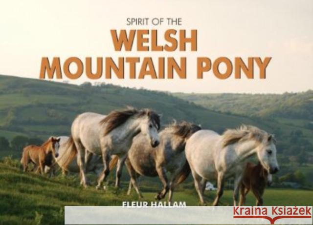 Spirit of the Welsh Mountain Pony Fleur Hallam 9780857100290 PiXZ Books - książka