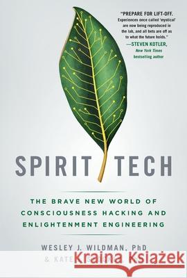 Spirit Tech Wesley J. Wildman 9781250445391 St. Martin's Griffin - książka
