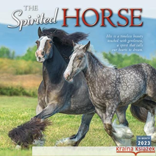 SPIRITED HORSE THE SELLERS PUBLISHING 9781531916428 GLOBAL PUBLISHER SERVICES - książka