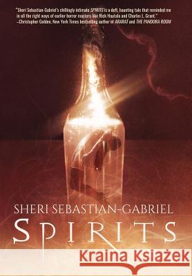 Spirits Sheri Sebastian-Gabriel Dyer Wilk 9781949140071 Haverhill House Publishing - książka