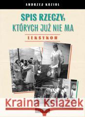 Spis rzeczy, których już nie ma Andrzej Kozioł 9788377207420 Petrus - książka