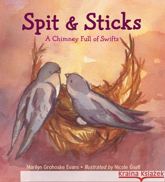 Spit & Sticks: A Chimney Full of Swifts Marilyn Grohosk Nicole Gsell Marilyn Grohoske Evans 9781580895880 Charlesbridge Publishing - książka