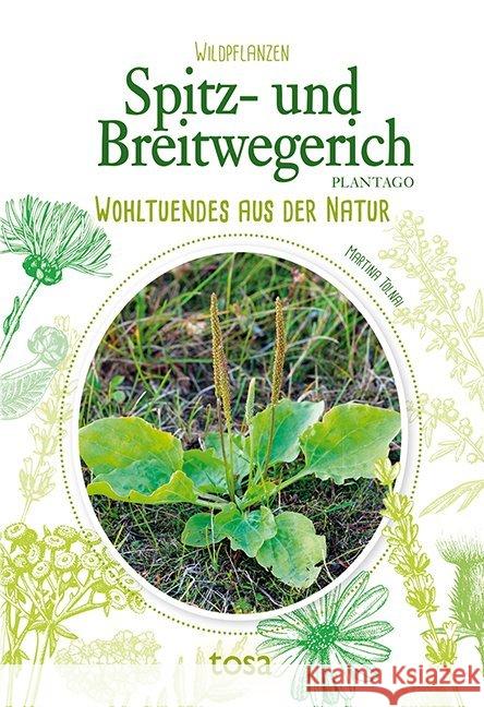 Spitz- und Breitwegerich - Plantago : Wohltuendes aus der Natur Tolnai, Martina 9783863130824 Tosa - książka