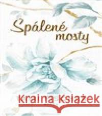 Spálené mosty Tami Fischer 9788027704859 Red - książka