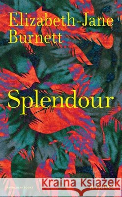 Splendour: A Novel Elizabeth-Jane Burnett 9780241702000 Penguin Books Ltd - książka