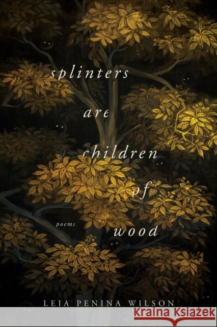 Splinters Are Children of Wood Leia Penina Wilson 9780268106171 University of Notre Dame Press - książka