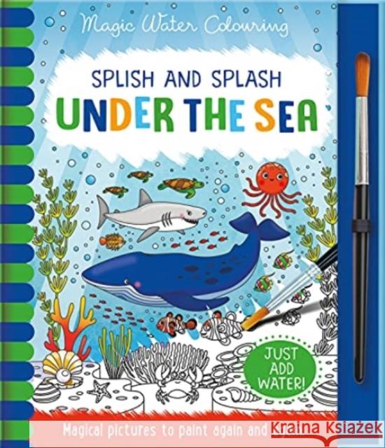 Splish and Splash - Under the Sea Rachael McLean 9781801051422 Imagine That Publishing Ltd - książka