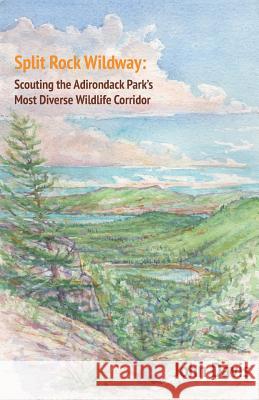 Split Rock Wildway: Scouting the Adirondack Park's Most Diverse Wildlife Corridor John Davis 9780996787079 Essex Editions - książka