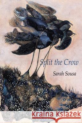 Split the Crow Sarah Sousa 9781602356351 Parlor Press - książka