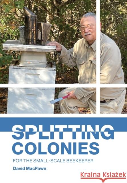 Splitting Colonies for the Small-Scale Beekeeper David Macfawn Simon Paterson 9781914934445 Northern Bee Books - książka